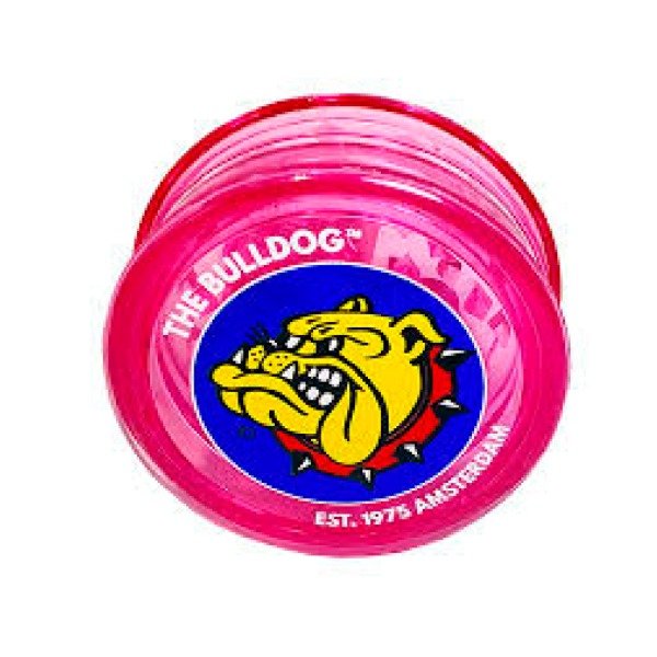 Picador the bulldog
