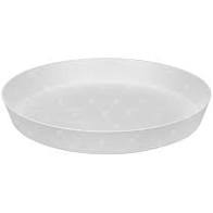 [GW00446] Plato Redondo 18