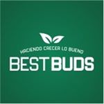 Sustrato Best Buds 50L