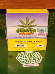 Semillas foto periódicas 5+1 (batekú)