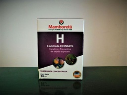 [GW00218] Mamboreta H 30cc